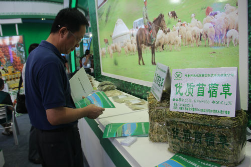 内蒙古十二盟市农产品青城争艳