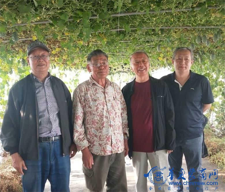 1630504607858543.jpg 微信图片_20210901194326_看图王.jpg