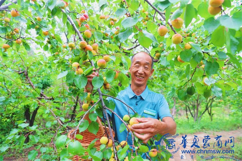 微信图片_20220708151345.jpg