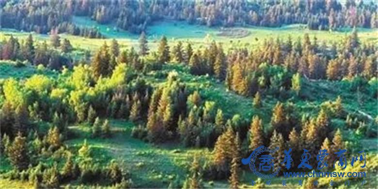 1677498771154898.jpg 微信图片_20230227195329.jpg