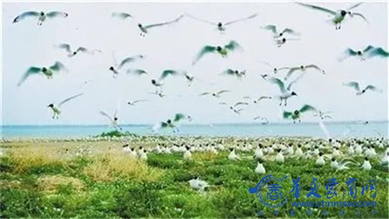 1677498783701820.jpg 微信图片_20230227195332.jpg