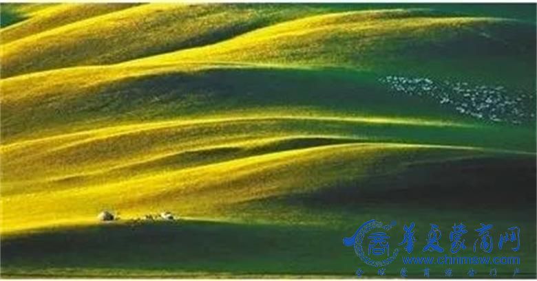 1677499102379434.jpg 微信图片_20230227195342.jpg