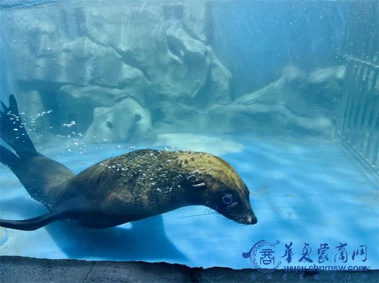 微信图片_20230907093331_看图王.jpg