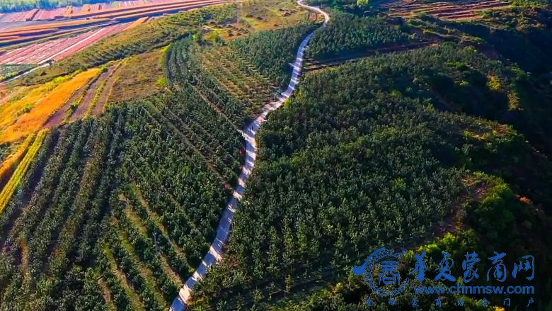 1761479240107055.jpg 微信图片_20251026193642_22_3673.jpg