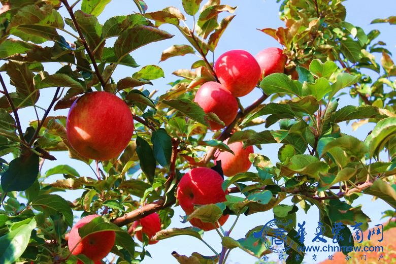 1761479619987759.jpg 微信图片_20251026195218_29_3673.jpg