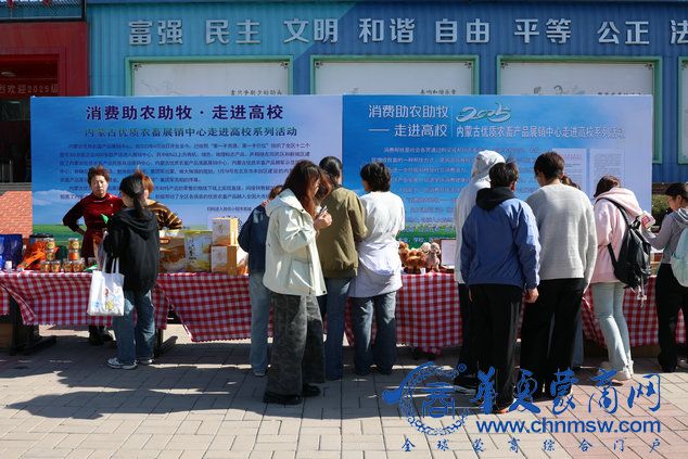 1764201901171977.jpg 4.jpg